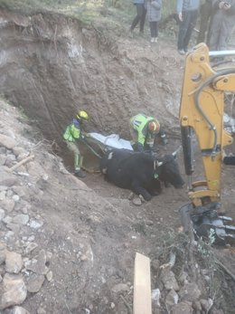 Vídeo de la noticia