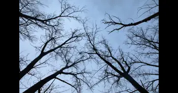 Un equipo internacional informa sobre una nueva vía de reacción con implicaciones para la calidad del aire y el clima