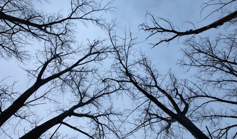 notibrasil sociedade