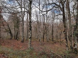 Foto: EUROPA PRESS - Archivo