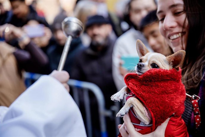 Archivo - Un sacerdote bendice a un perro en la iglesia de San Antón de Madrid