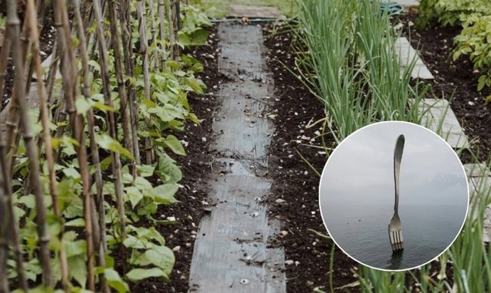 Por qué algunos jardineros clavan tenedores de plástico en sus huertos