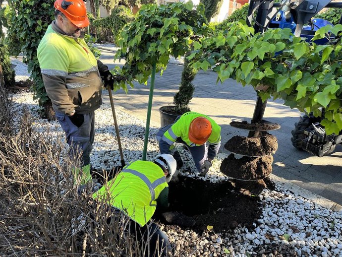 Actuaciones en el Distrito Norte.
