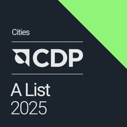 Imagen de la organización CDP-ICLEI