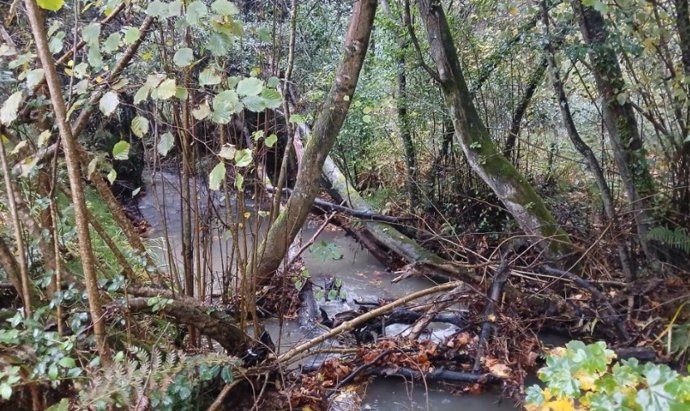 Archivo - Río Ferrerías en Soto del Barco