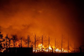 Archivo - Imagen de archivo de un incendio en Argentina 