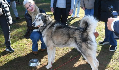 Es Andalucía - Sevilla
