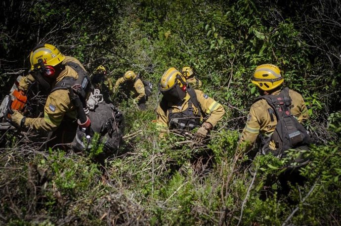 Un grupo de brigadistas trabaja en la contención del fuego en la provincia argentina de Chubut