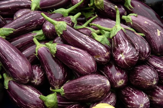 Archivo - Berenjena