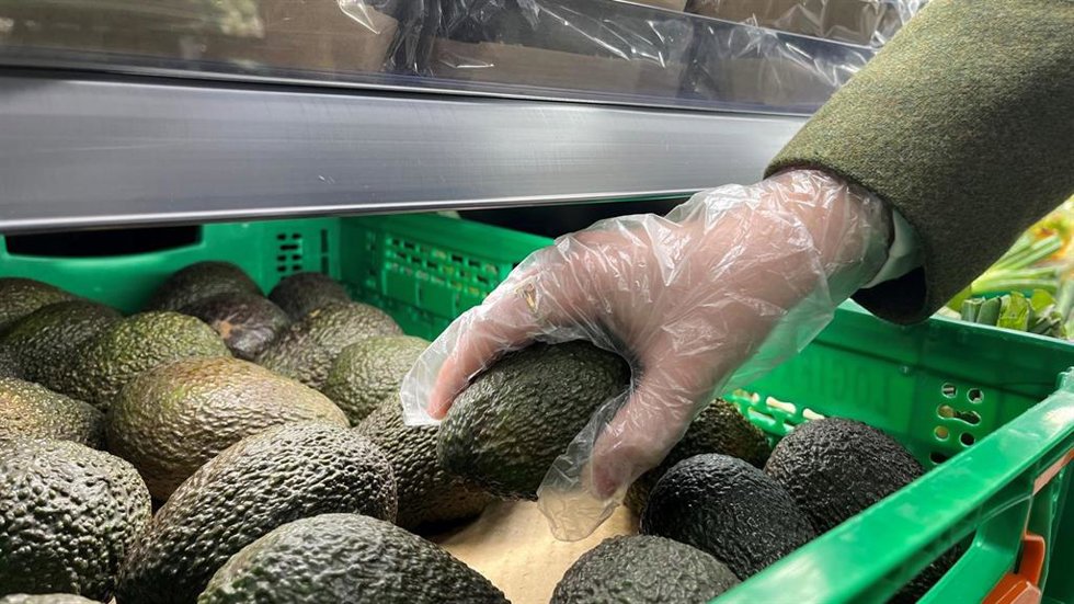 Aguacates.