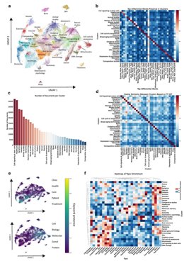 La Universidad Europea de Valencia y la Universidad de Stanford han colaborado en la elaboración del mapa "más completo hasta la fecha" sobre la ciencia del envejecimiento.