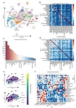 La Universidad Europea de Valencia y la Universidad de Stanford han colaborado en la elaboración del mapa "más completo hasta la fecha" sobre la ciencia del envejecimiento.