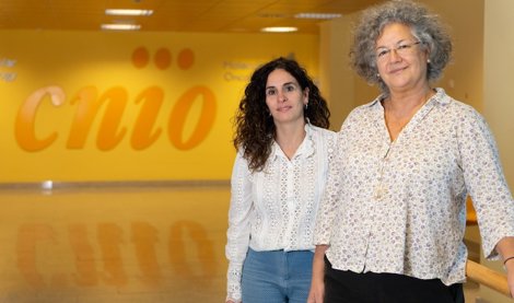 notibrasil sociedade