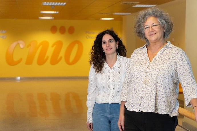 Imagem das investigadoras do CNIO.