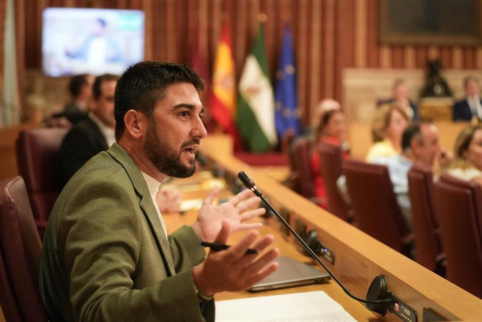 Archivo - El portavoz municipal de la confluencia Podemos-IU, Ismael Sánchez, en el pleno del Ayuntamiento de Sevilla.