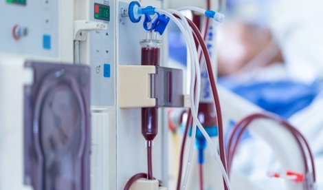 notibrasil sociedade