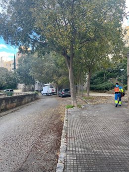 Operario de Emaya en la limpieza de una de las barriadas en la cuarta fase del programa de refuerzo de 'Palma a punt'.