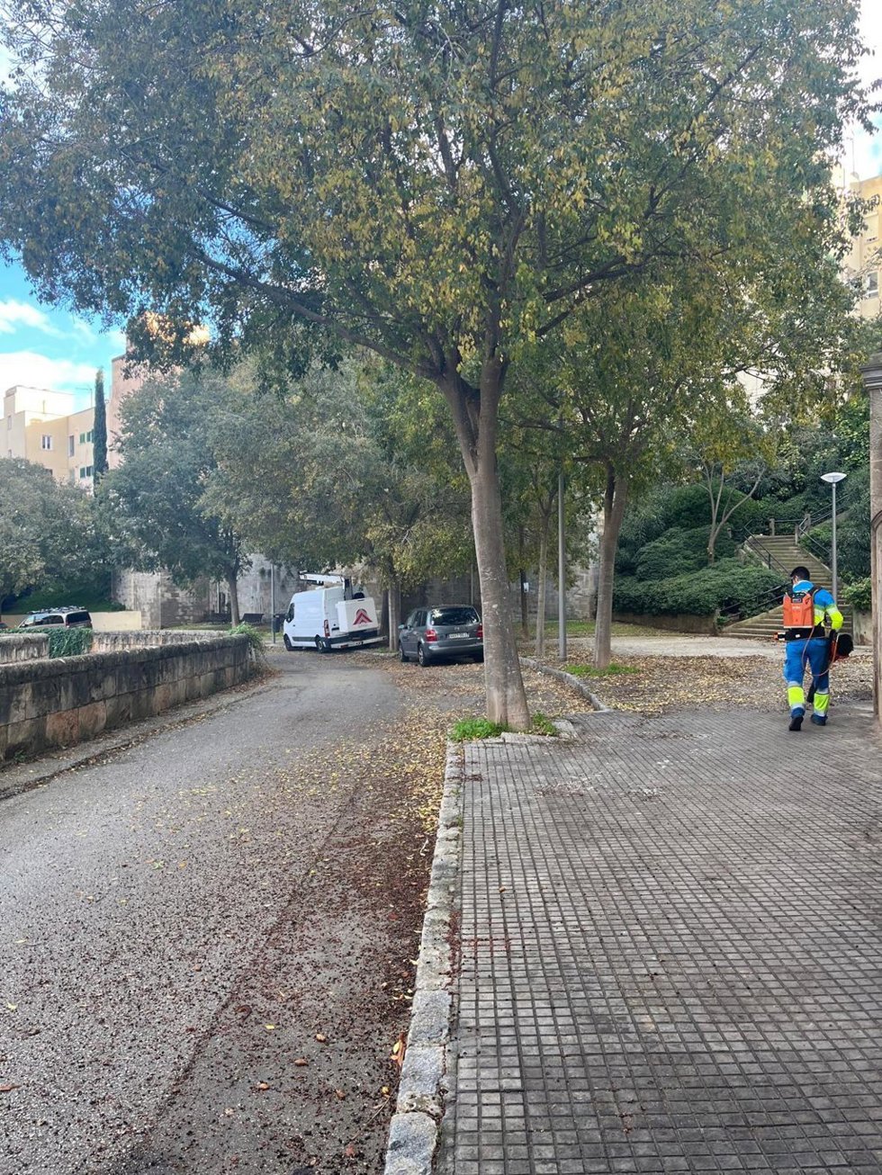 Operario de Emaya en la limpieza de una de las barriadas en la cuarta fase del programa de refuerzo de 'Palma a punt'.