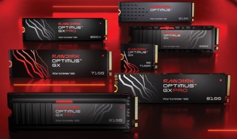 notibrasil sociedade