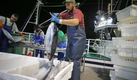 EpAgro - Unión Europea