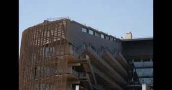 Revelan cómo la cooperación entre especies puede sostener ecosistemas más diversos y resistentes