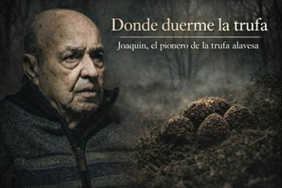 Documental 'Donde duerme la trufa'