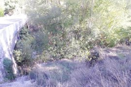 Foto: ECOLOGISTAS EN ACCIÓN