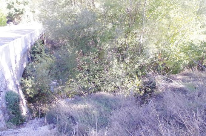 Río Velillos, en término de Moclín (Granada)