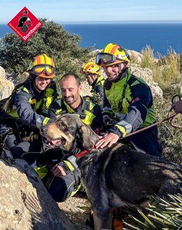 Rescatan a un mastín tras caer entre rocas en el Cabo de San Antonio