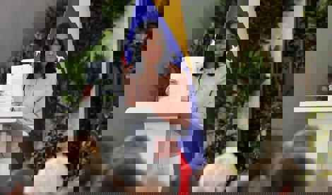 notibrasil política