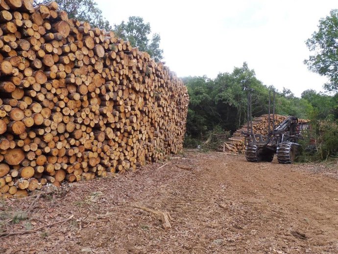 Salud Laboral publica una guía para reducir los accidentes laborales en el sector forestal