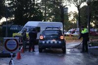 Confirmados otros 13 casos de peste porcina africana en el núcleo de Collserola (Barcelona)