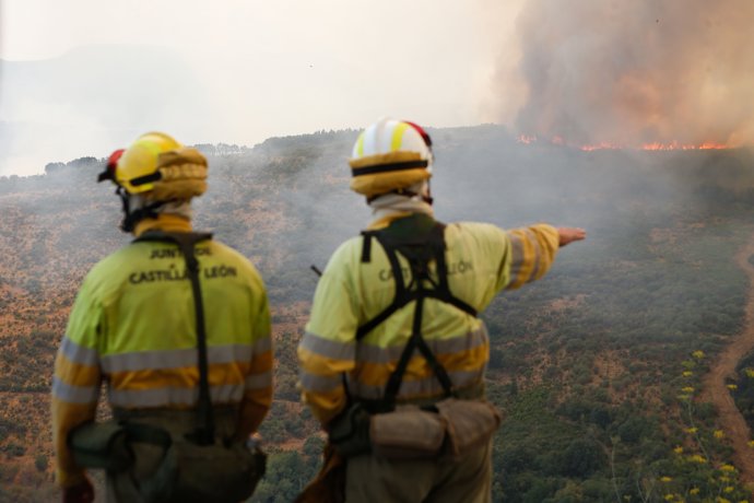 Varios bomberos observan el incendio forestal, a 24 de agosto de 2025, en La Baña, Encinedo, La Cabrera, León, Castilla y León (España).