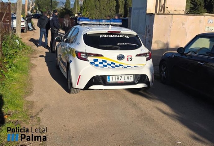 Actuación contra un after ilegal en Palma: una moto robada, cuatro vehículos retirados y una docena de denuncias.