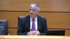 Foto: SENADO - Archivo