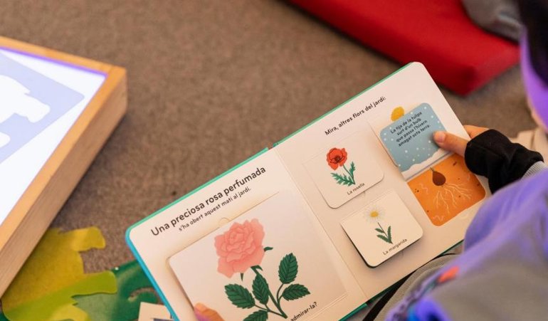 Cooperación y Desarrollo