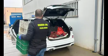 Guardia Civil esclarece una estafa por internet de 80.000 euros a una empresa navarra de crossfit