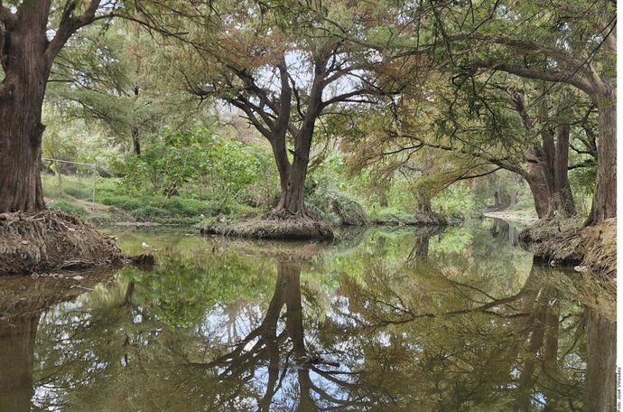 Retiran relleno que obstruía el Río La Silla en Guadalupe; paso del parque lineal sigue restringido por puente peatonal