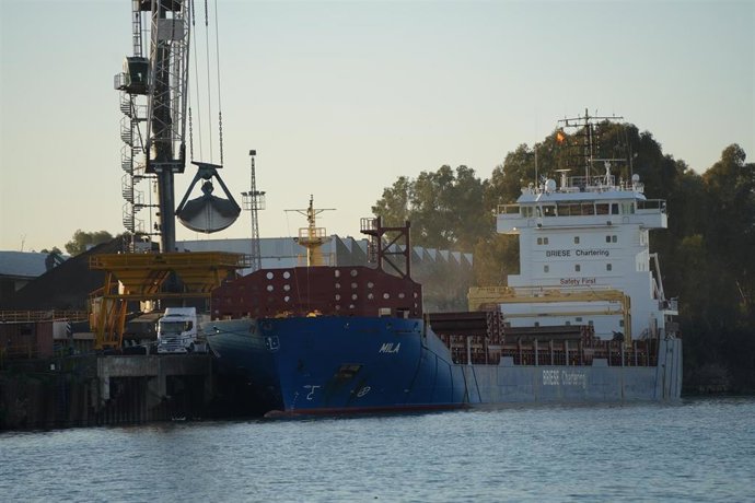 Labores de descarga de un buque en el Puerto de Sevilla.