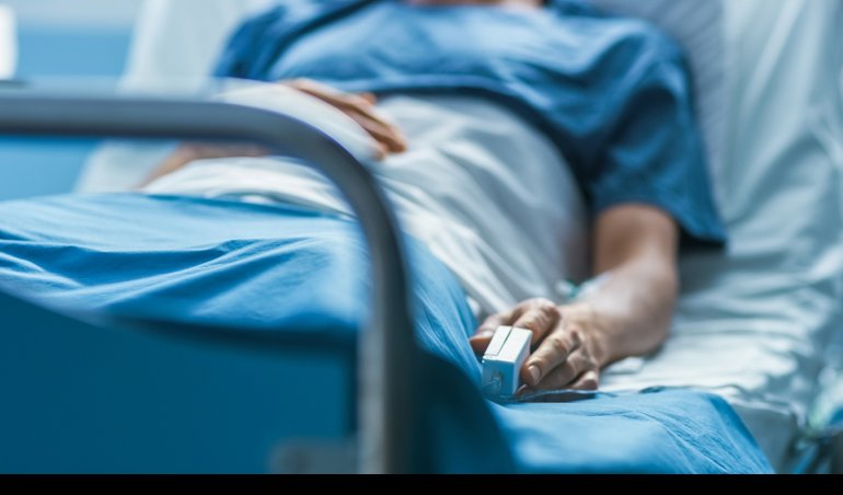 notibrasil sociedade