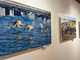 Exposición fotográfica del concurso 'Alas del Odiel'.