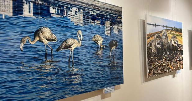 Huelva, ciudad que marca