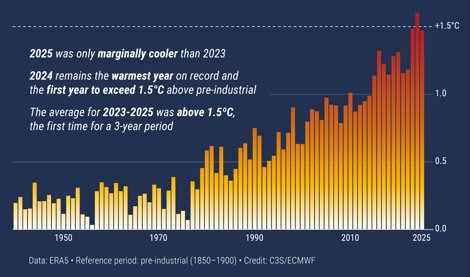 notibrasil sociedade