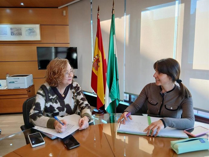 La delegada territorial de Fomento, Articulación del Territorio y Vivienda en Almería, Dolores Martínez, durante una reunión de trabajo.