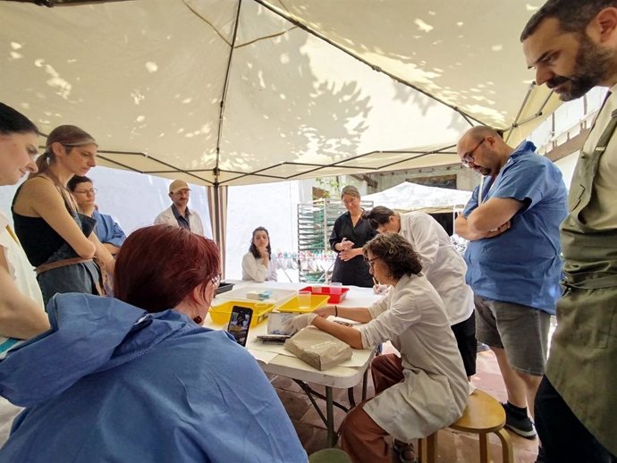 Recuperació de patrimoni en el Museu de l'Horta Sud