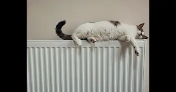 "Secar la ropa en el radiador es lo peor del mundo y la solución cuesta menos de 10 euros", advierte un ingeniero