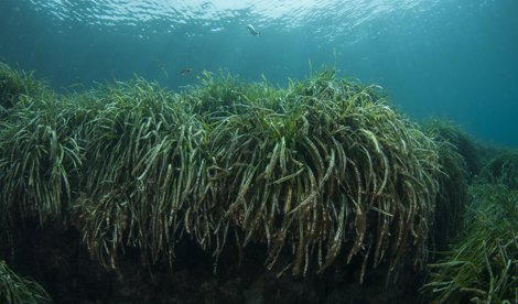 Es Andalucía - Sevilla