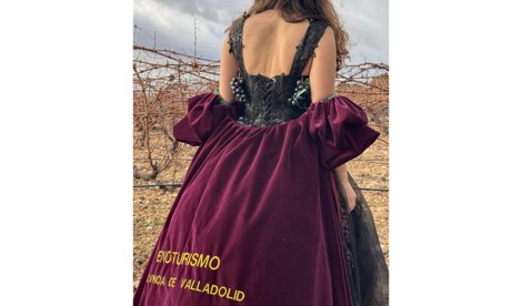 Comunicados Sociedad