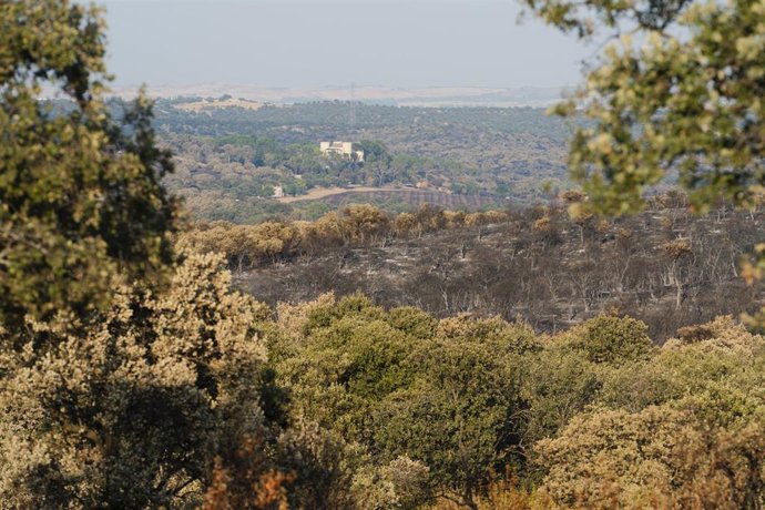 Archivo - Vista de las zonas más afectadas por el incendio declarado el pasado lunes 11 de agosto en Tres Cantos, a 14 de agosto de 2025, en Tres Cantos, Madrid (España). 