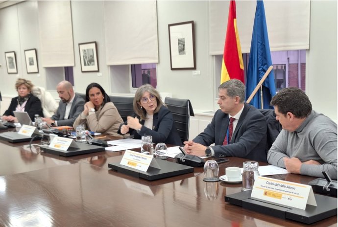 Reunión del grupo de trabajo entre OBERAXE y los representantes de las principales plataformas digitales que operan en España.